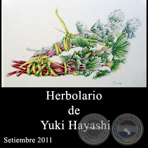 Herbolario de Yuki Hayashi - Setiembre 2011